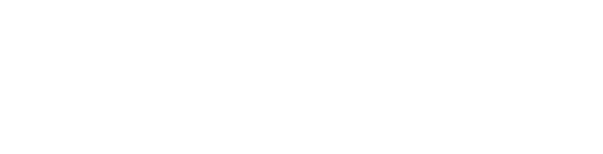Van Leenen Saab Specialist
